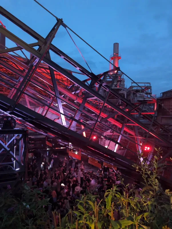 Visitor photo from FERRA FESTIVAL, 2026